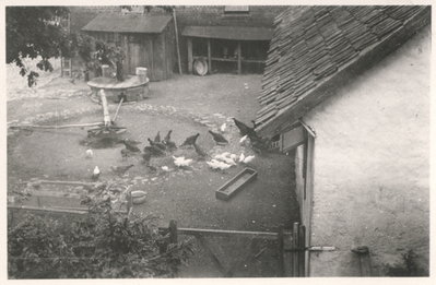 Landkeim Kr. Samland, Gut, Hühnerhof und Göbel zum Wasserpumpen 1943.jpg