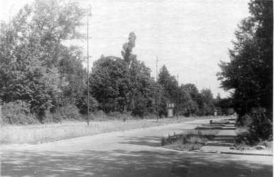 Общий вид ул. Кутузова, 1956 год