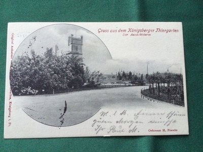 Tiergarten-Der-Aussichtsturm-1902.JPG
