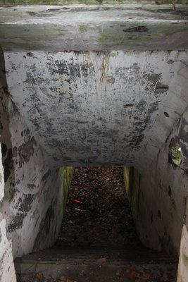 Вход в укрытие(перекрытая бетонная щель)