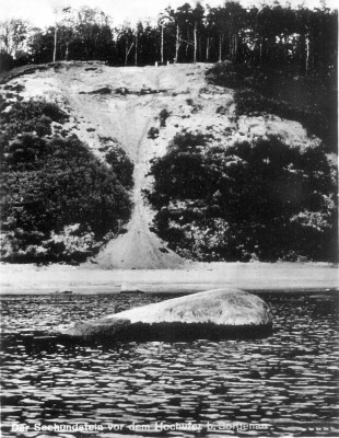 Довоенное фото тюленьего камня