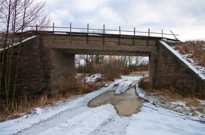 мост в кленовом под недействующей жд.jpg