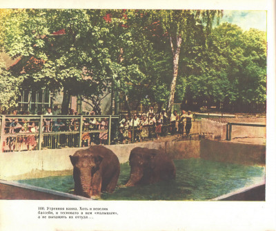 зоопарк 1966-3.jpg