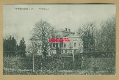 Koenigsberg-Opr-Amalienau-1907-266-RAR.jpg